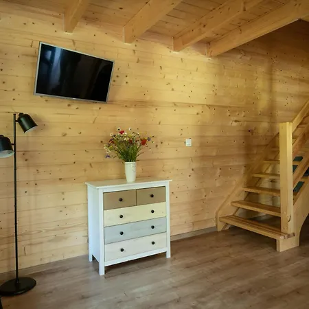 Letniskowe W Lesie Nad Jeziorem - Kaszuby, Osrodek Wczasowy Klif * فدزيدزي كيشيفسكي